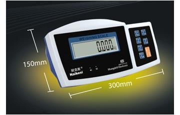 TZ Series Weighing Indicator Bench Scale
